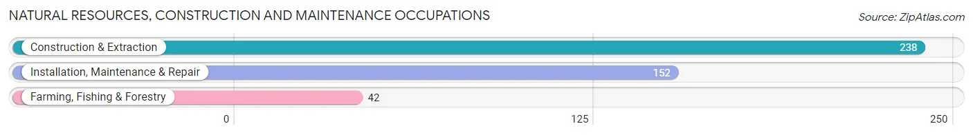 Natural Resources, Construction and Maintenance Occupations in Fostoria