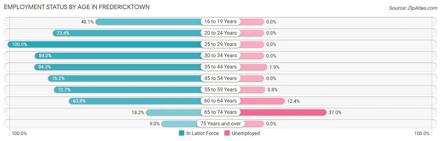 Employment Status by Age in Fredericktown