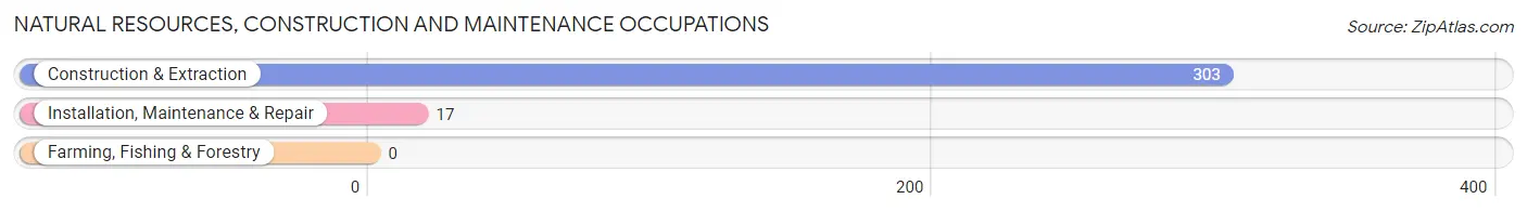 Natural Resources, Construction and Maintenance Occupations in Germantown