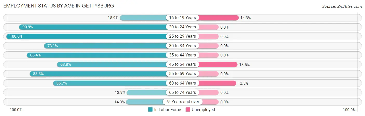 Employment Status by Age in Gettysburg
