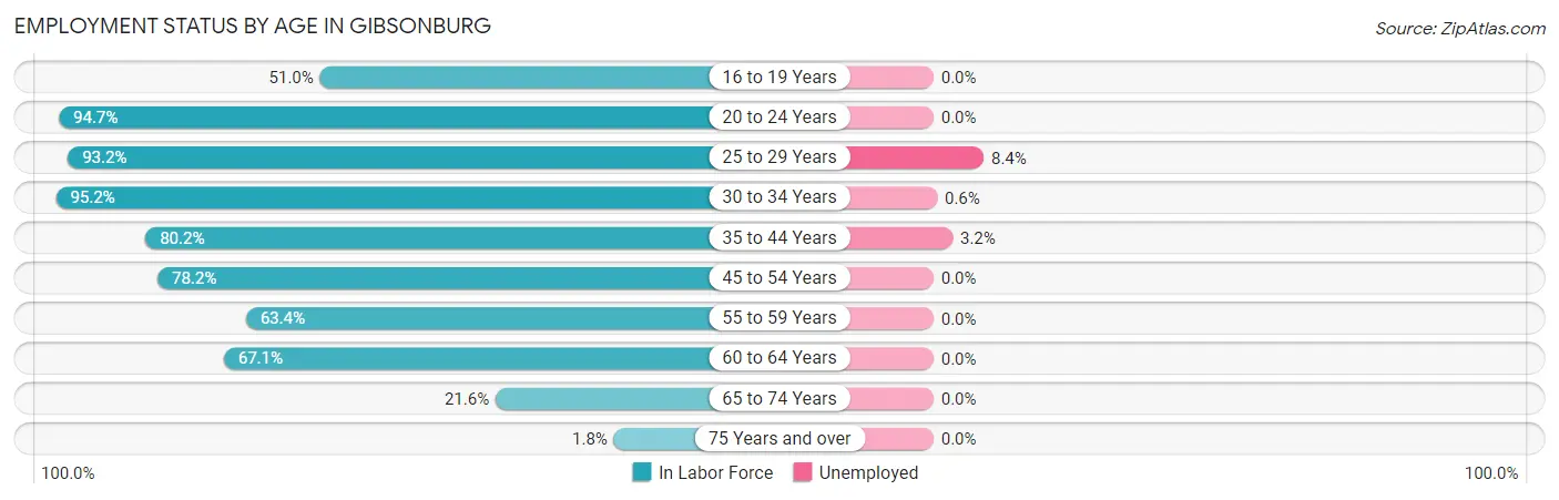 Employment Status by Age in Gibsonburg
