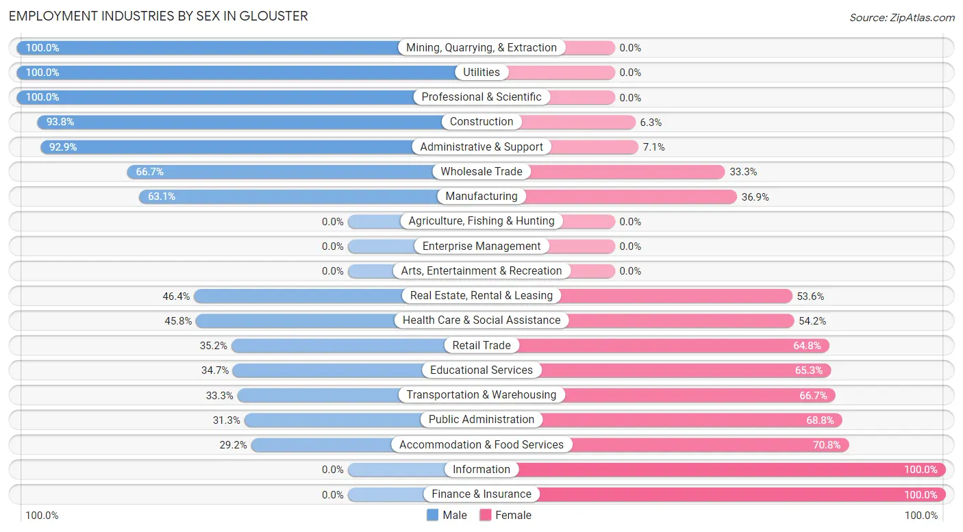 Employment Industries by Sex in Glouster