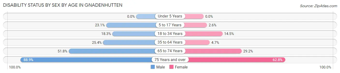 Disability Status by Sex by Age in Gnadenhutten