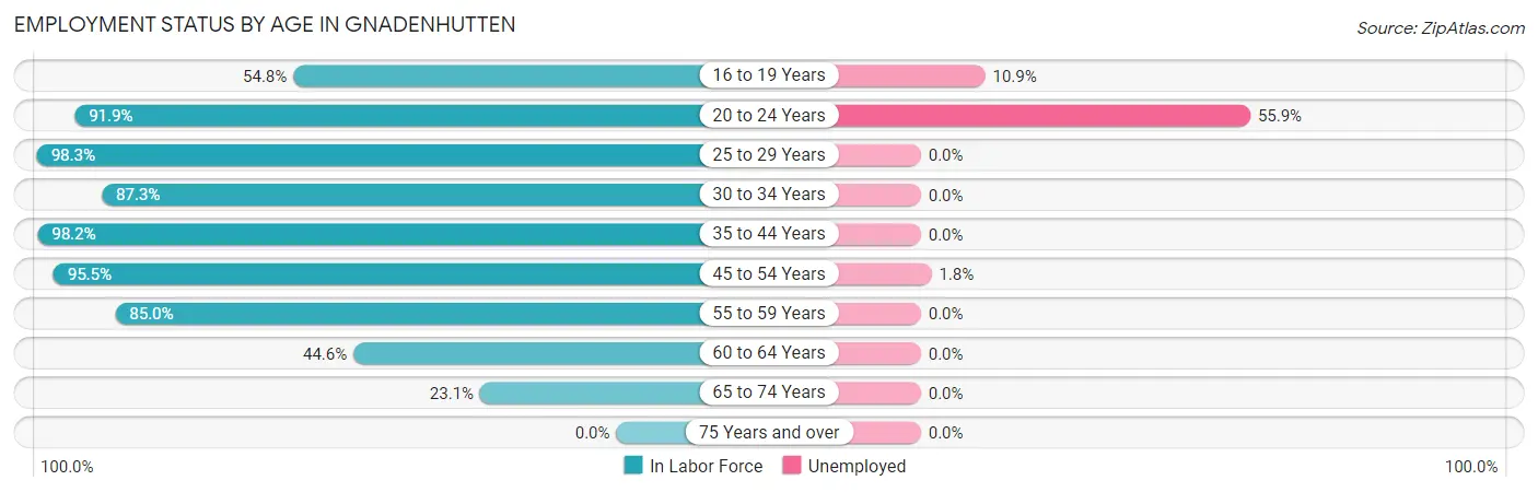 Employment Status by Age in Gnadenhutten
