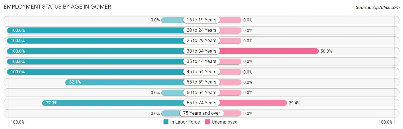 Employment Status by Age in Gomer