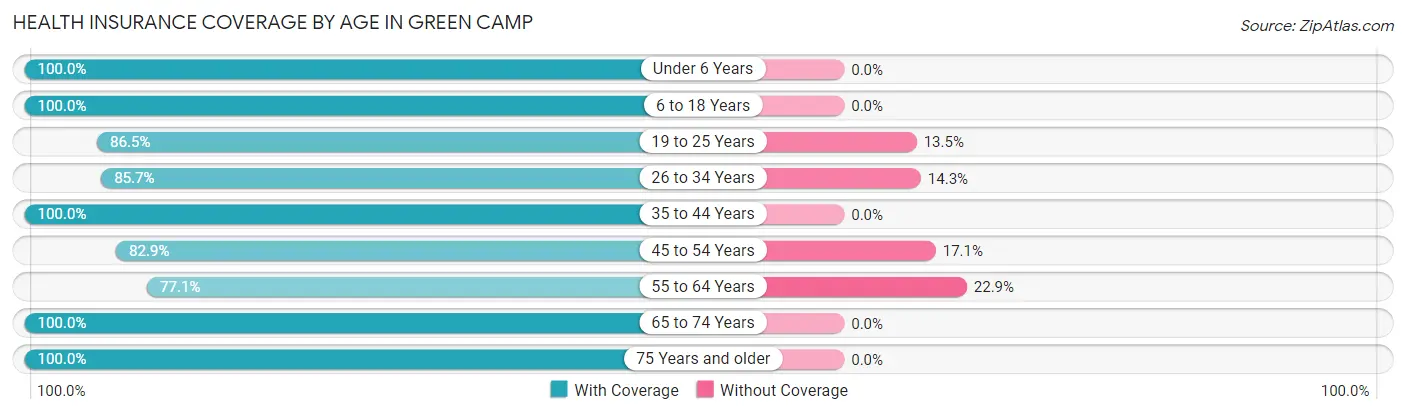 Health Insurance Coverage by Age in Green Camp