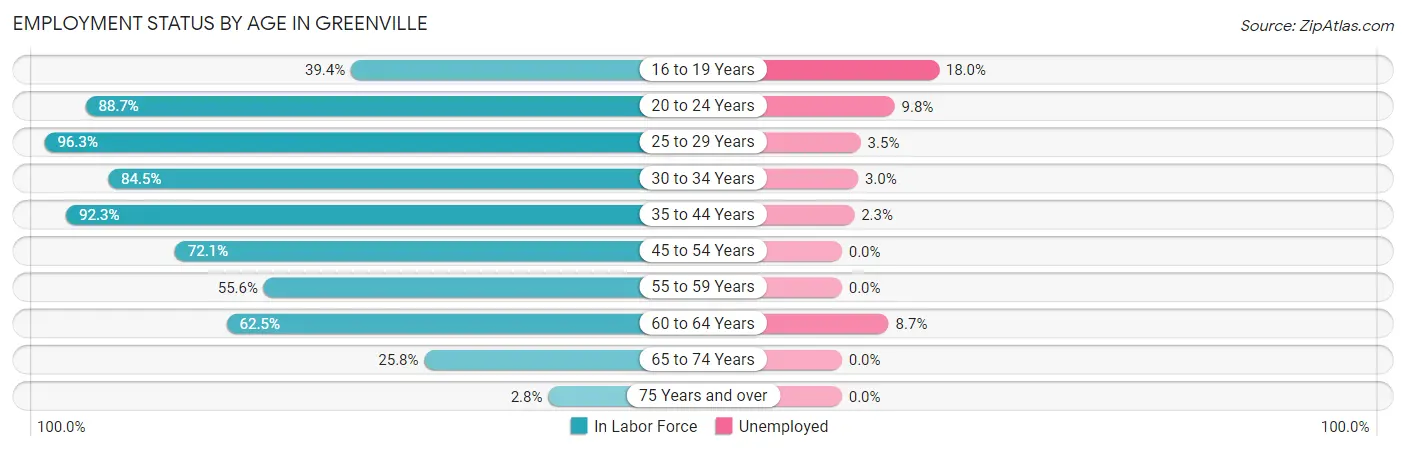 Employment Status by Age in Greenville