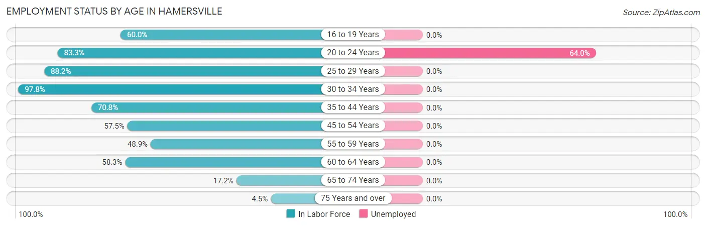 Employment Status by Age in Hamersville