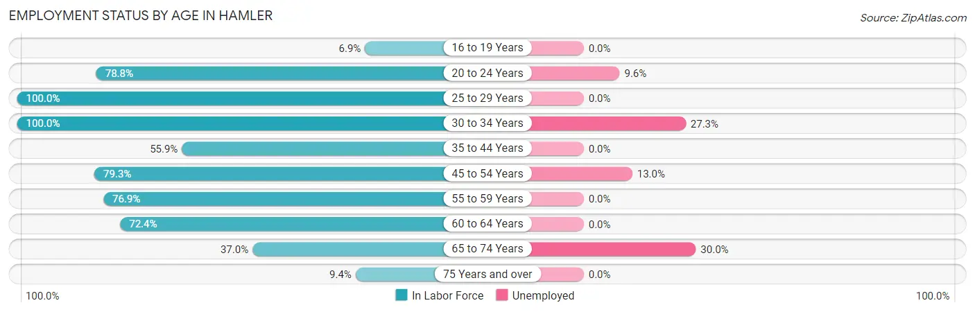 Employment Status by Age in Hamler