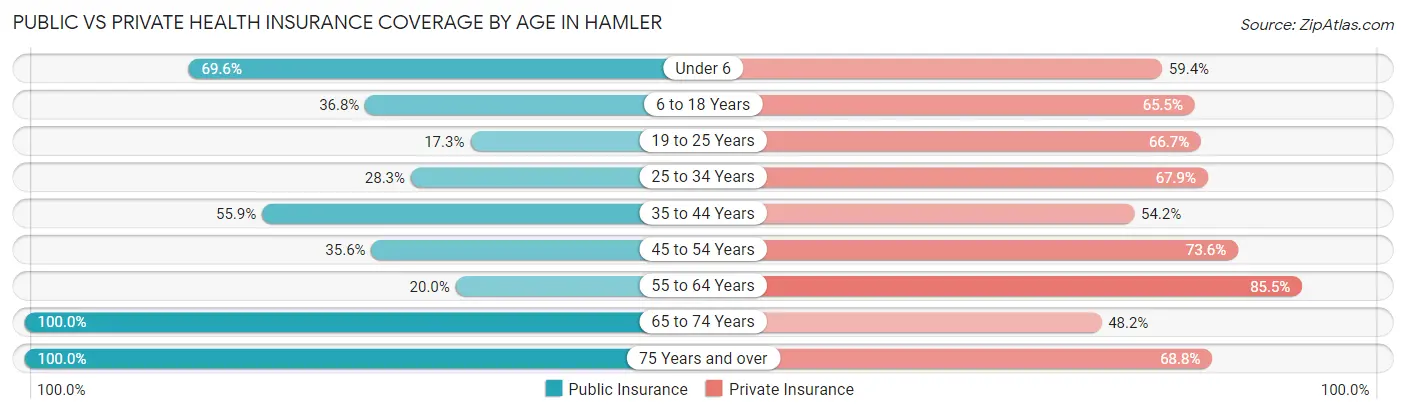 Public vs Private Health Insurance Coverage by Age in Hamler