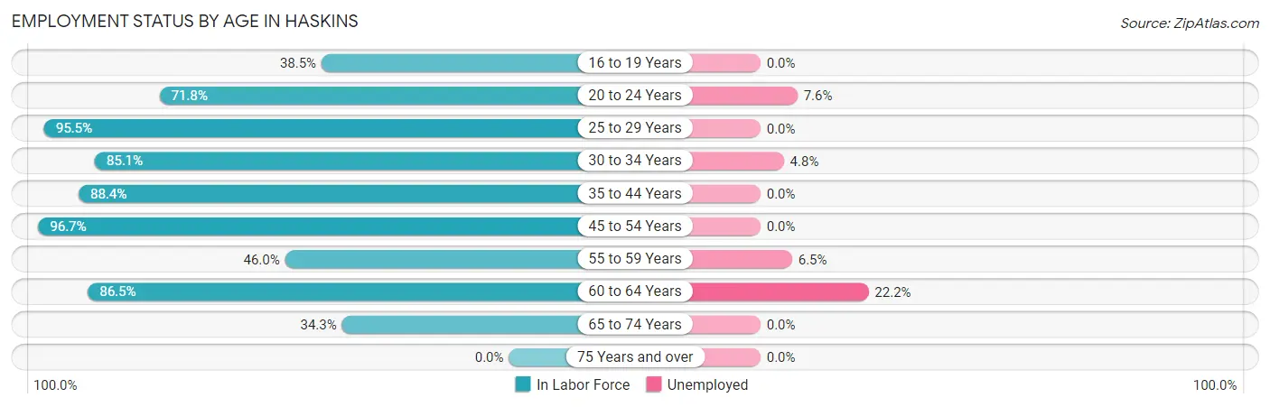 Employment Status by Age in Haskins