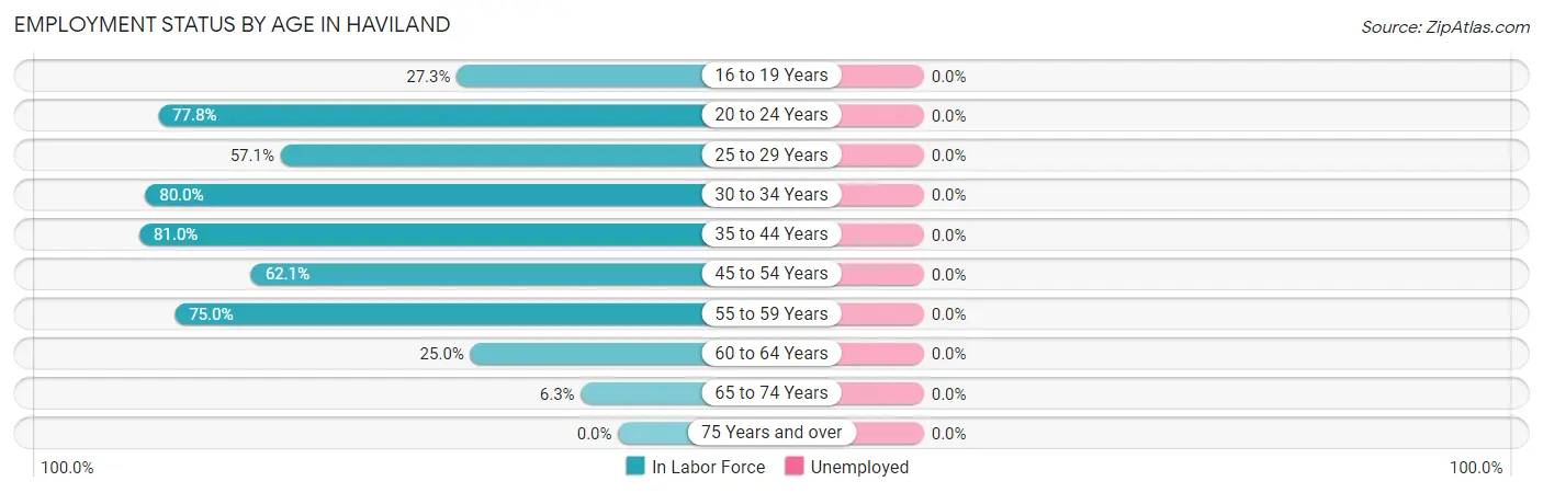 Employment Status by Age in Haviland