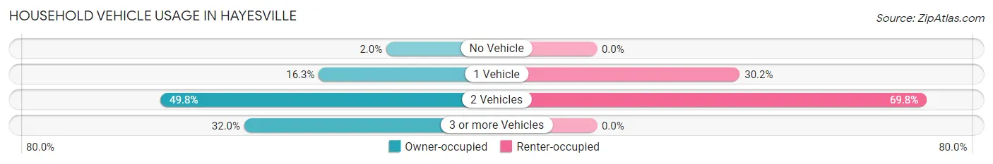 Household Vehicle Usage in Hayesville