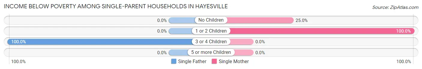 Income Below Poverty Among Single-Parent Households in Hayesville