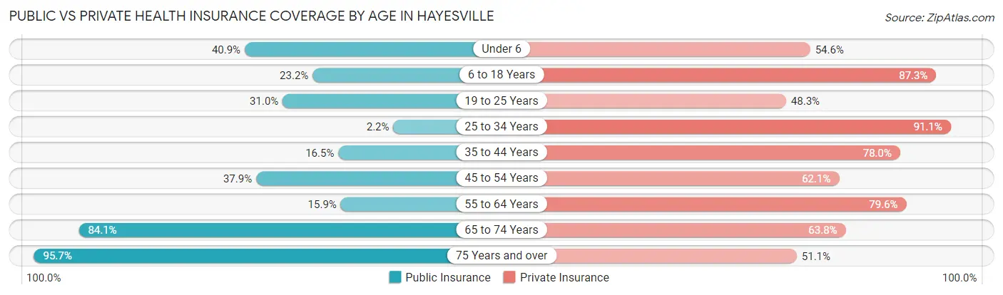 Public vs Private Health Insurance Coverage by Age in Hayesville