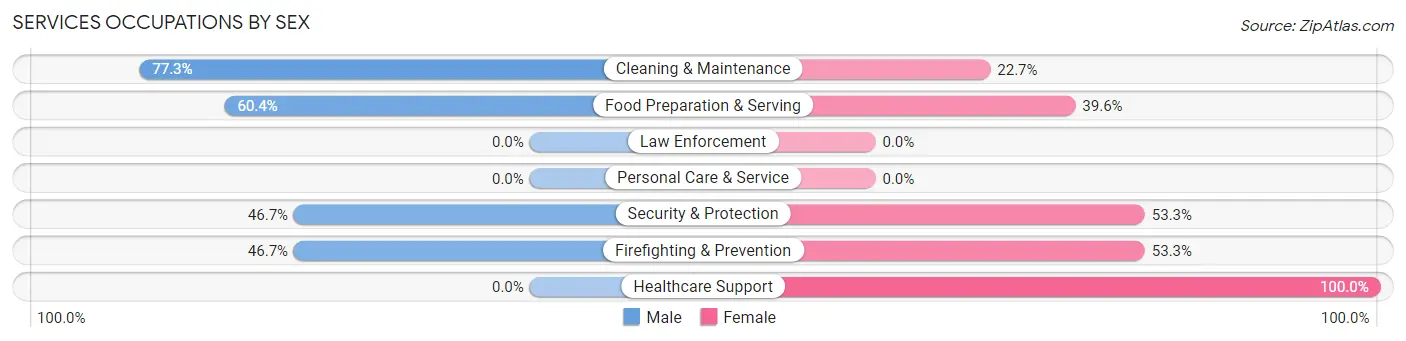 Services Occupations by Sex in Hicksville