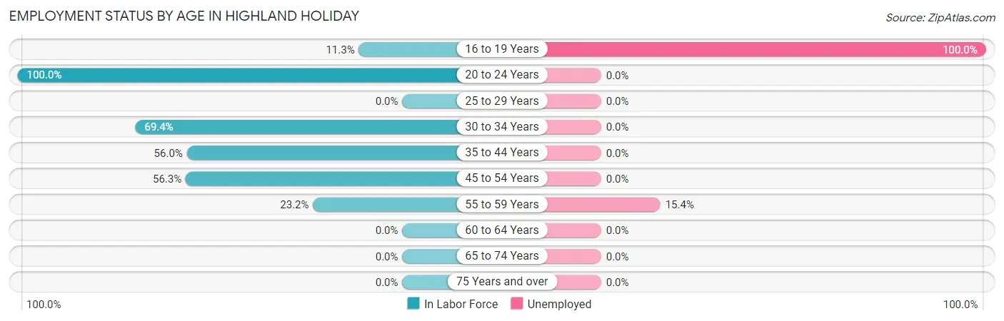 Employment Status by Age in Highland Holiday