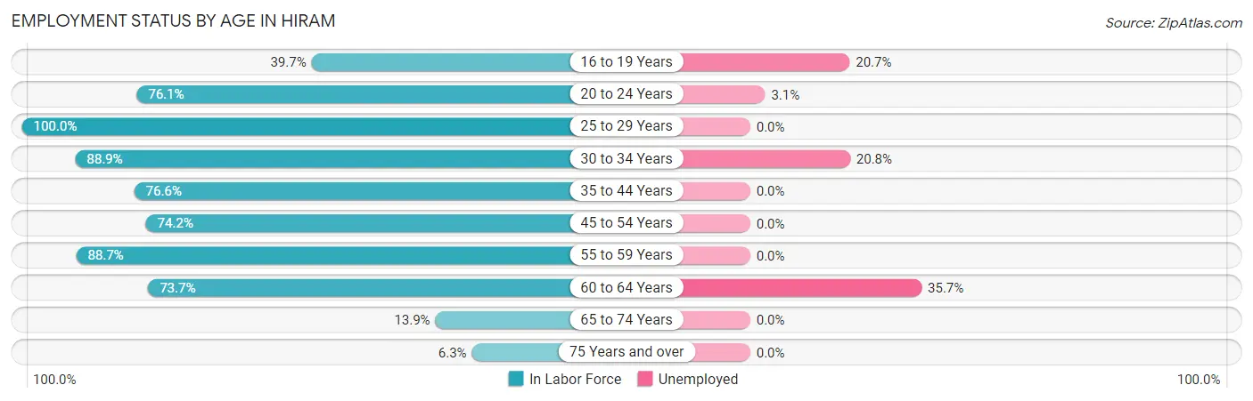 Employment Status by Age in Hiram