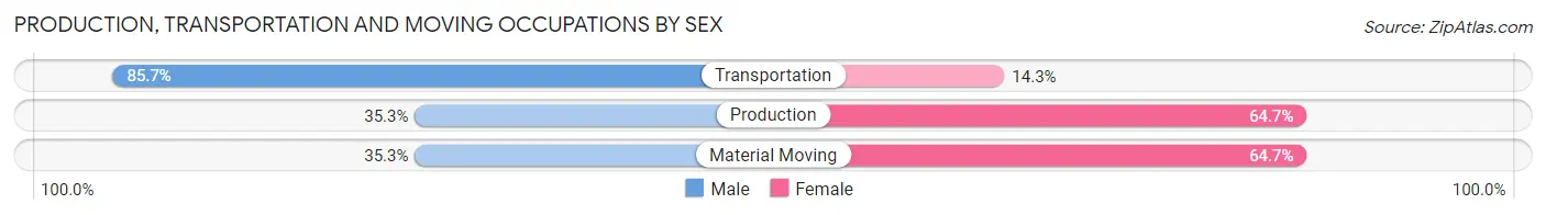 Production, Transportation and Moving Occupations by Sex in Hiram