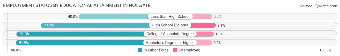 Employment Status by Educational Attainment in Holgate
