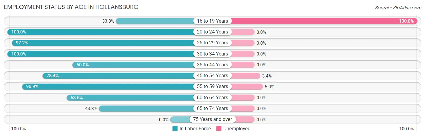 Employment Status by Age in Hollansburg