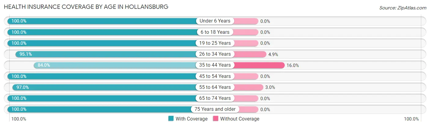 Health Insurance Coverage by Age in Hollansburg