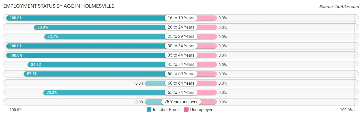 Employment Status by Age in Holmesville