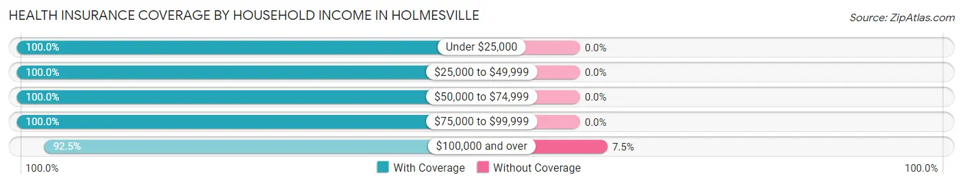 Health Insurance Coverage by Household Income in Holmesville