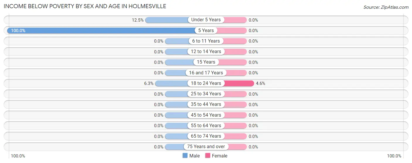 Income Below Poverty by Sex and Age in Holmesville