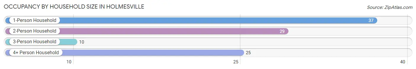Occupancy by Household Size in Holmesville
