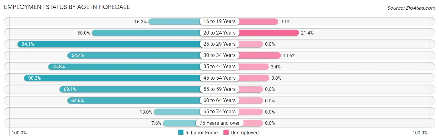 Employment Status by Age in Hopedale