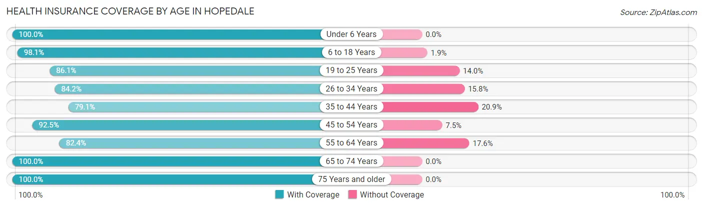 Health Insurance Coverage by Age in Hopedale