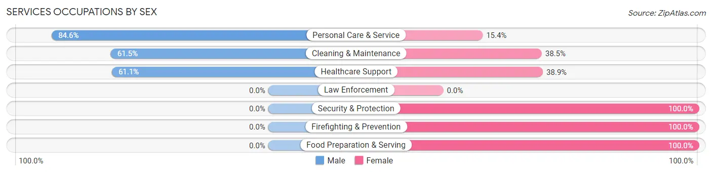Services Occupations by Sex in Hopedale