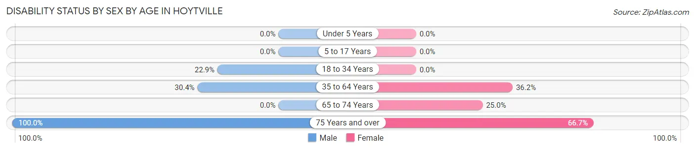 Disability Status by Sex by Age in Hoytville