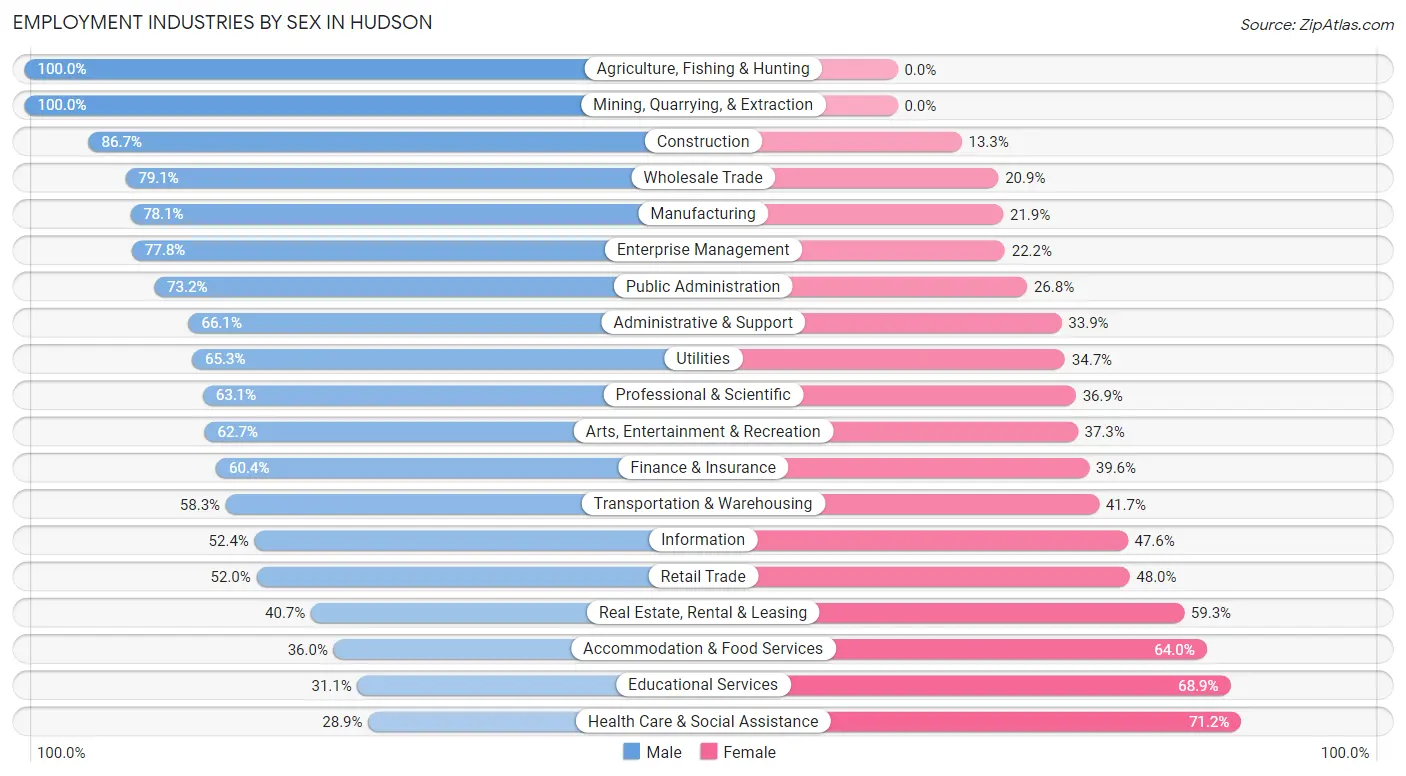 Employment Industries by Sex in Hudson