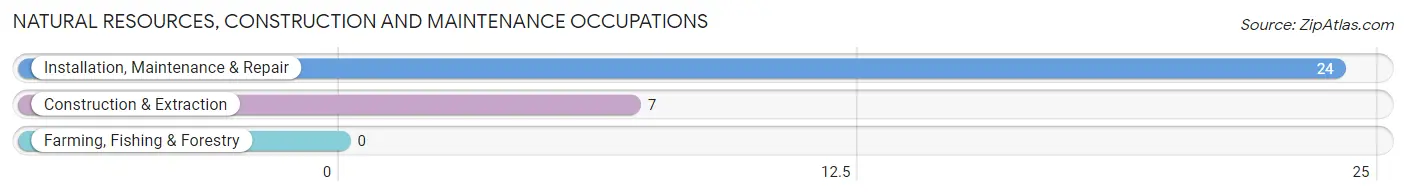 Natural Resources, Construction and Maintenance Occupations in Huntsville