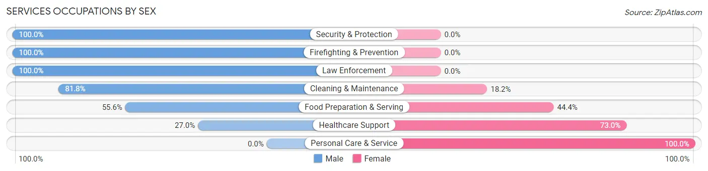 Services Occupations by Sex in Huron
