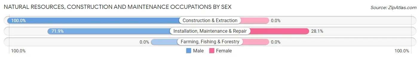 Natural Resources, Construction and Maintenance Occupations by Sex in Ironton