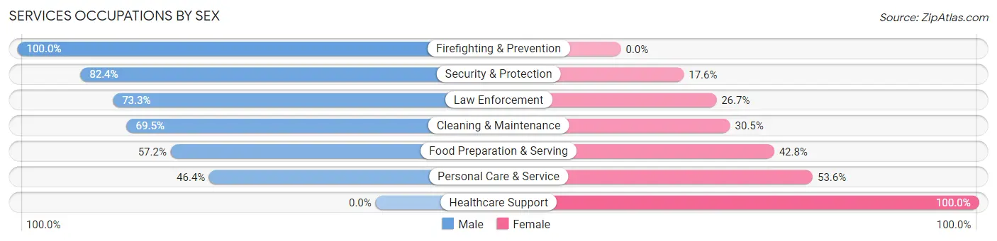 Services Occupations by Sex in Ironton