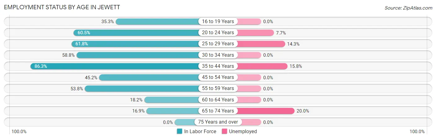 Employment Status by Age in Jewett