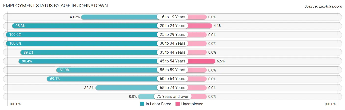 Employment Status by Age in Johnstown