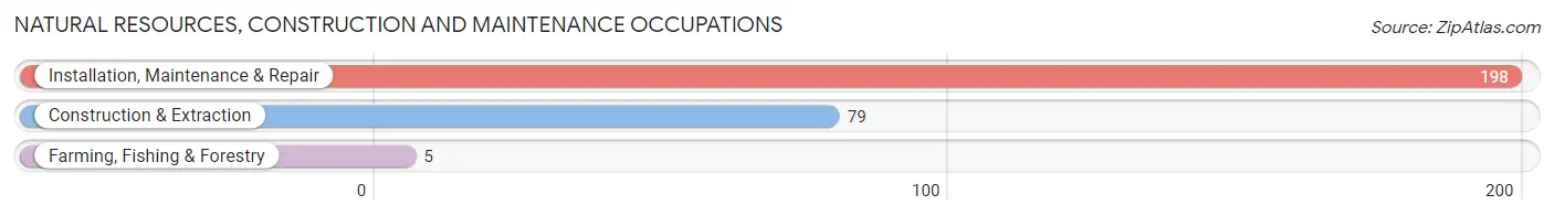 Natural Resources, Construction and Maintenance Occupations in Johnstown