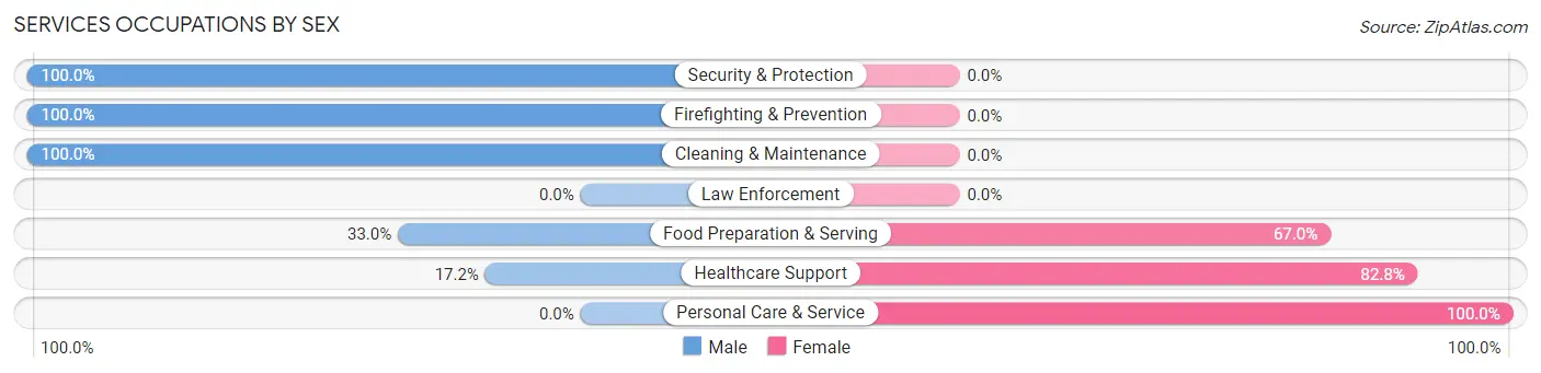 Services Occupations by Sex in Johnstown