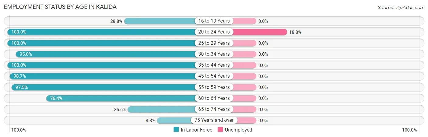 Employment Status by Age in Kalida