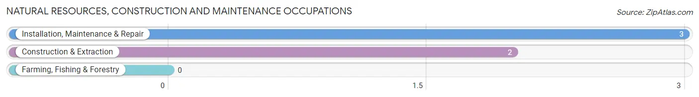 Natural Resources, Construction and Maintenance Occupations in Kelleys Island