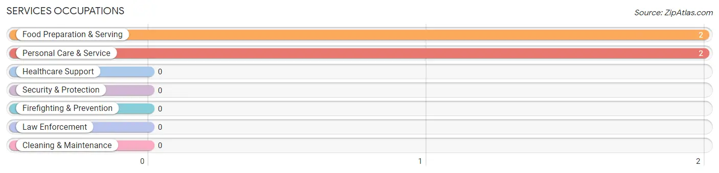 Services Occupations in Kelleys Island