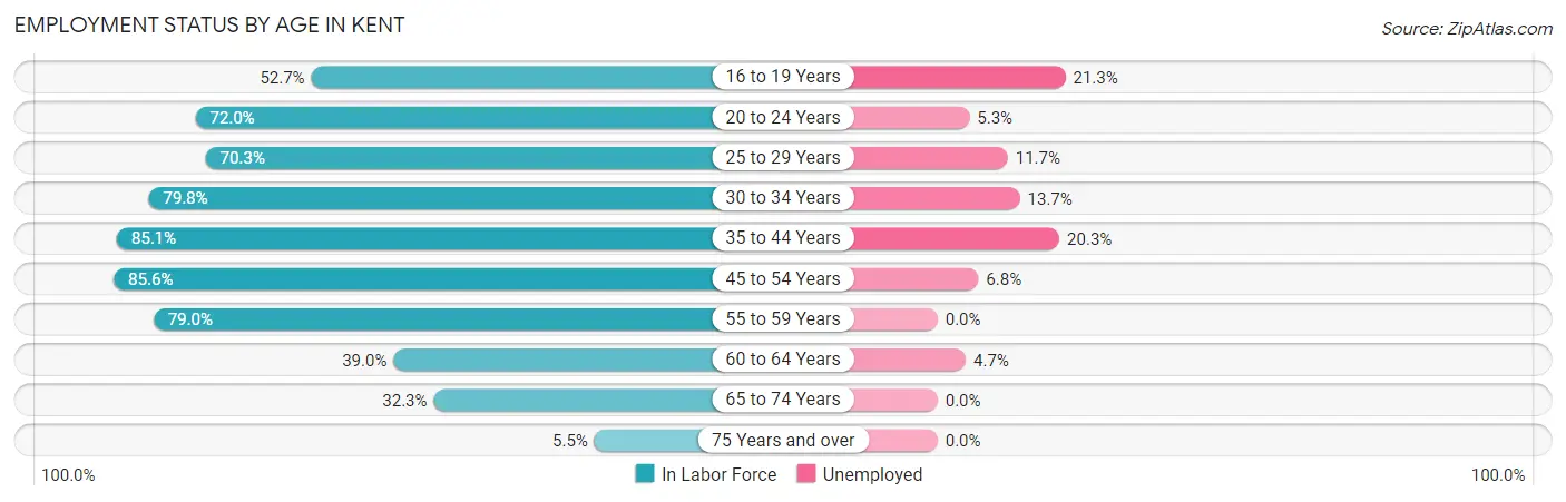 Employment Status by Age in Kent