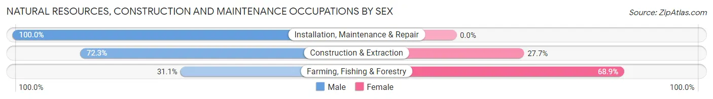 Natural Resources, Construction and Maintenance Occupations by Sex in Kent