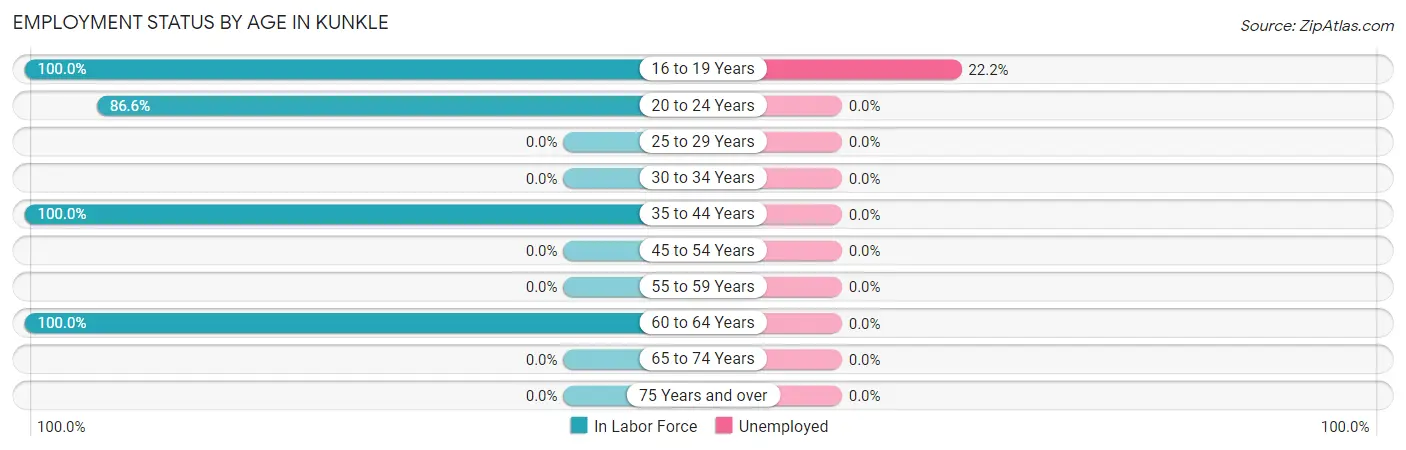 Employment Status by Age in Kunkle