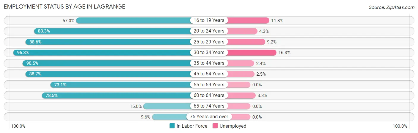 Employment Status by Age in Lagrange
